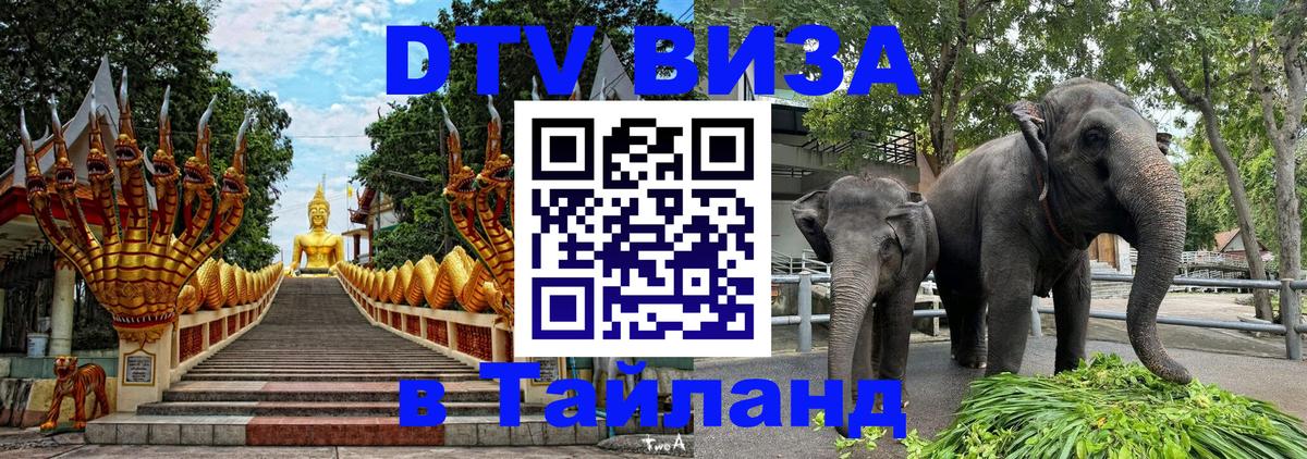 Сколько стоит DTV виза — актуальные цены, оформление даже без документов - 05.10.2025 